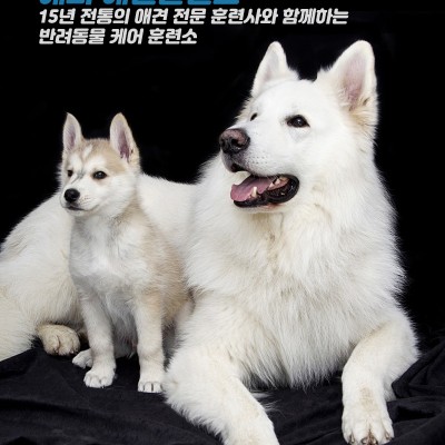 푸시 테스트
